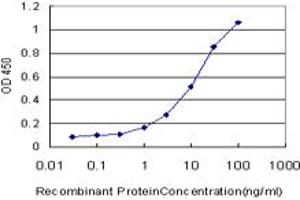 Detection limit for recombinant GST tagged NHLH2 is approximately 0. (NHLH2 anticorps  (AA 36-135))