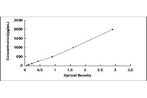 Typical standard curve (CCR3 Kit ELISA)