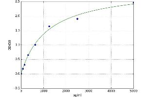 Cyclin-Dependent Kinase Inhibitor 1A (p21, Cip1) (CDKN1A) ELISA Kit