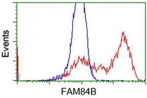 HEK293T cells transfected with either RC207996 overexpress plasmid (Red) or empty vector control plasmid (Blue) were immunostained by anti-FAM84B antibody (ABIN2453032), and then analyzed by flow cytometry. (FAM84B anticorps)
