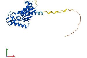 AlphaFold protein structure predicition of Human Recombinant NMRK2 Protein, UniprotID Q9NPI5