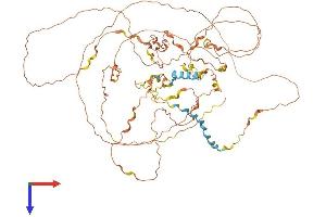 AlphaFold protein structure predicition of Mouse Recombinant Ggn Protein, UniprotID Q80WJ1