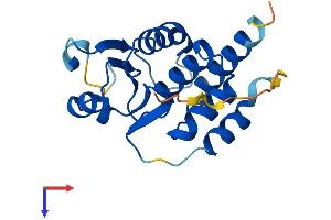 AlphaFold protein structure predicition of Human Recombinant DUSP13A Protein, UniprotID Q6B8I1