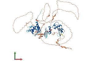 AlphaFold protein structure predicition of Mouse Recombinant Zbtb33 Protein, UniprotID Q8BN78