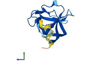 AlphaFold protein structure predicition of Mouse Recombinant Rabif Protein, UniprotID Q91X96