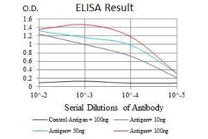 Black line: Control Antigen (100 ng), Purple line: Antigen(10 ng), Blue line: Antigen (50 ng), Red line: Antigen (100 ng),