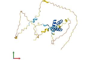 AlphaFold protein structure predicition of Human Recombinant NKX6-3 Protein, UniprotID A6NJ46