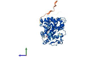 AlphaFold protein structure predicition of Mouse Recombinant Chst5 Protein, UniprotID Q9QUP4
