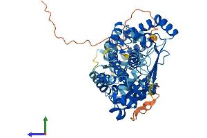 AlphaFold protein structure predicition of Human Recombinant LPCAT1 Protein, UniprotID Q8NF37