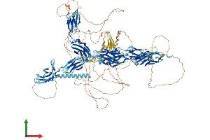 AlphaFold protein structure predicition of Mouse Recombinant Fndc3c1 Protein, UniprotID Q6DFV6