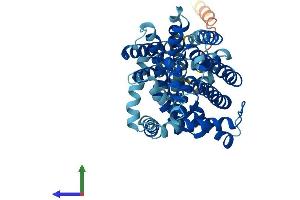 AlphaFold protein structure predicition of Mouse Recombinant Slc7a9 Protein, UniprotID Q9QXA6