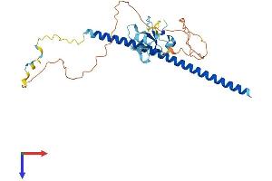 AlphaFold protein structure predicition of Mouse Recombinant Thap7 Protein, UniprotID Q8VCZ3