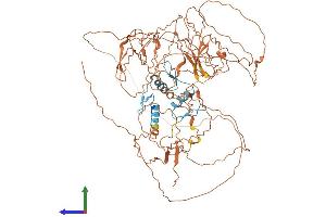 AlphaFold protein structure predicition of Mouse Recombinant Sp3 Protein, UniprotID O70494