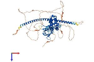 AlphaFold protein structure predicition of Mouse Recombinant Arhgap24 Protein, UniprotID Q8C4V1