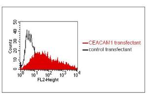 FACS analysis of BOSC23 cells using 4/3/17. (CEACAM1/5 anticorps)