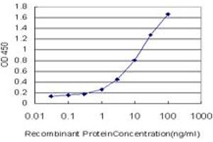 Detection limit for recombinant GST tagged ETV5 is approximately 0. (ETV5 anticorps  (AA 181-290))