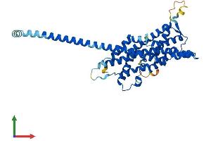 AlphaFold protein structure predicition of Human Recombinant PEX3 Protein, UniprotID P56589
