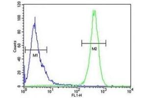 Beclin1 antibody flow cytometric analysis of HeLa cells (right histogram) compared to a negative control (left histogram).