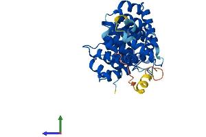 AlphaFold protein structure predicition of Mouse Recombinant Anxa9 Protein, UniprotID Q9JHQ0