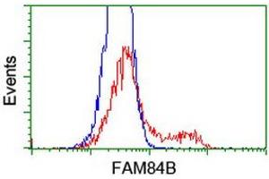 HEK293T cells transfected with either RC207996 overexpress plasmid (Red) or empty vector control plasmid (Blue) were immunostained by anti-FAM84B antibody (ABIN2453921), and then analyzed by flow cytometry. (FAM84B anticorps)