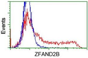 Flow Cytometry (FACS) image for anti-Zinc Finger, AN1-Type Domain 2B (ZFAND2B) antibody (ABIN1501805)