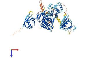 AlphaFold protein structure predicition of Mouse Recombinant Fermt1 Protein, UniprotID P59113