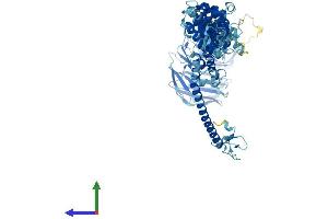 AlphaFold protein structure predicition of Human Recombinant VPS39 Protein, UniprotID Q96JC1