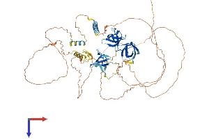 AlphaFold protein structure predicition of Human Recombinant SORBS3 Protein, UniprotID O60504