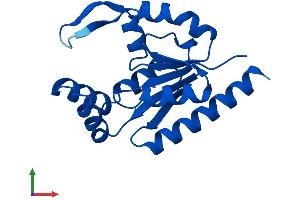 AlphaFold protein structure predicition of Human Recombinant AK6 Protein, UniprotID Q9Y3D8