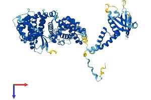 AlphaFold protein structure predicition of Human Recombinant ELMO3 Protein, UniprotID Q96BJ8