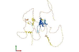 AlphaFold protein structure predicition of Human Recombinant SOX9 Protein, UniprotID P48436