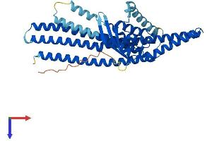 AlphaFold protein structure predicition of Mouse Recombinant Snx32 Protein, UniprotID Q80ZJ7