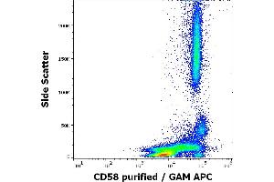 Flow cytometry surface staining pattern of human peripheral whole blood stained using anti-human CD58 (MEM-63) purified antibody (concentration in sample 1,67 μg/mL, GAM APC). (CD58 anticorps)