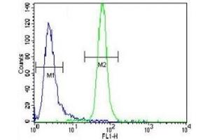 MUSK antibody flow cytometric analysis of CEM cells (right histogram) compared to a negative control cell (left histogram).