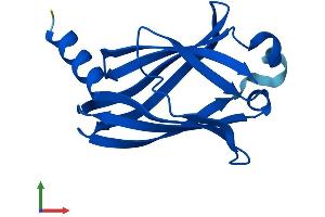 AlphaFold protein structure predicition of Mouse Recombinant Pde6d Protein, UniprotID O55057