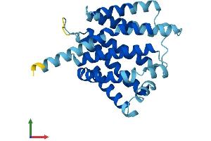 AlphaFold protein structure predicition of Human Recombinant TMEM101 Protein, UniprotID Q96IK0