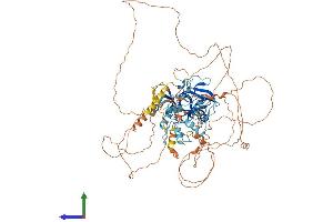 AlphaFold protein structure predicition of Mouse Recombinant Prdm1 Protein, UniprotID Q60636