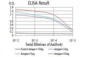Black line: Control Antigen (100 ng),Purple line: Antigen (10 ng), Blue line: Antigen (50 ng), Red line:Antigen (100 ng) (Estrogen Receptor alpha anticorps  (AA 2-185))
