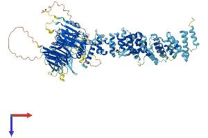 AlphaFold protein structure predicition of Human Recombinant HPS3 Protein, UniprotID Q969F9