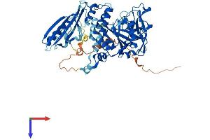 AlphaFold protein structure predicition of Human Recombinant PARP3 Protein, UniprotID Q9Y6F1