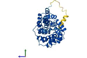 AlphaFold protein structure predicition of Human Recombinant LRP2BP Protein, UniprotID Q9P2M1
