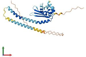 AlphaFold protein structure predicition of Human Recombinant TSPY8 Protein, UniprotID P0CW00