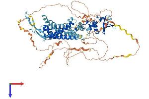 AlphaFold protein structure predicition of Mouse Recombinant Kcnc3 Protein, UniprotID Q63959