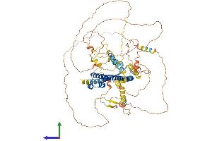 AlphaFold protein structure predicition of Human Recombinant NFE2L1 Protein, UniprotID Q14494