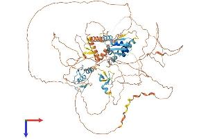 AlphaFold protein structure predicition of Human Recombinant ZBTB10 Protein, UniprotID Q96DT7