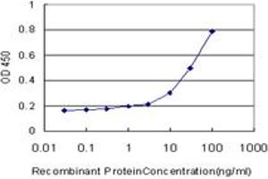 Detection limit for recombinant GST tagged RAP1A is approximately 1ng/ml as a capture antibody. (RAP1A anticorps  (AA 1-184))