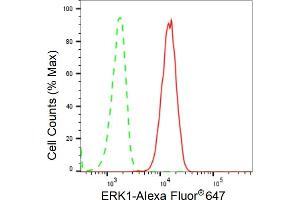 Flow cytometric analysis of ERK1 expression in C2C12 cells using ERK1 antibody (ABIN7799449), 1:2,000).