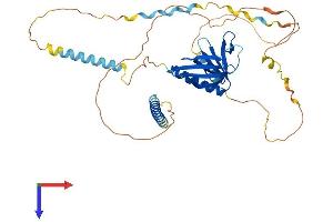 AlphaFold protein structure predicition of Human Recombinant EVL Protein, UniprotID Q9UI08