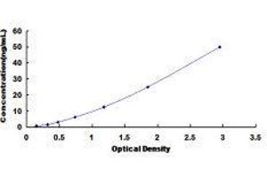 ELISA image for Ceruloplasmin (Ferroxidase) (CP) ELISA Kit (ABIN415575)