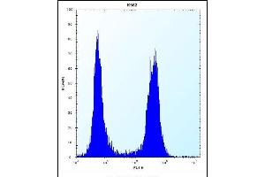 ARSF Antibody (Center) (ABIN657171 and ABIN2846304) flow cytometric analysis of K562 cells (right histogram) compared to a negative control cell (left histogram).